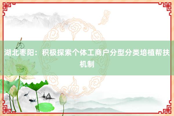 湖北枣阳：积极探索个体工商户分型分类培植帮扶机制