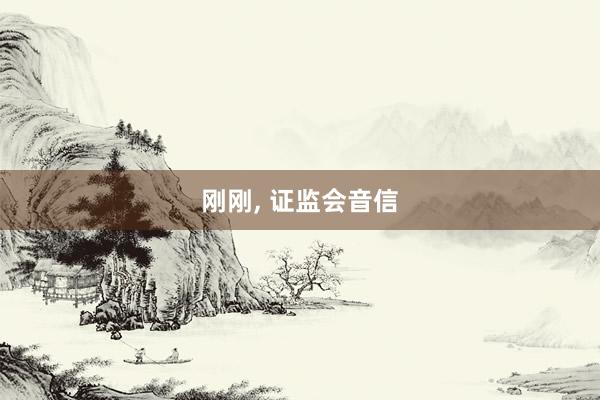 刚刚, 证监会音信