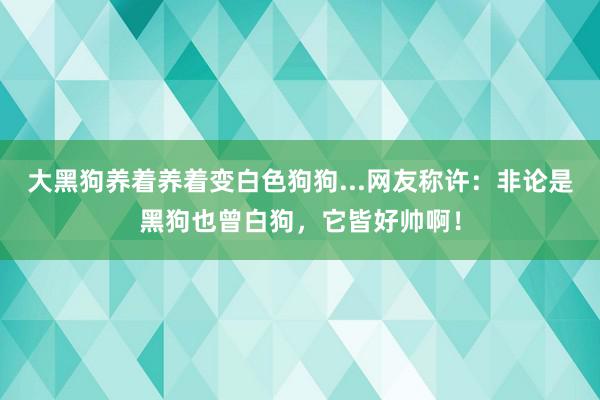 大黑狗养着养着变白色狗狗...网友称许：非论是黑狗也曾白狗，它皆好帅啊！