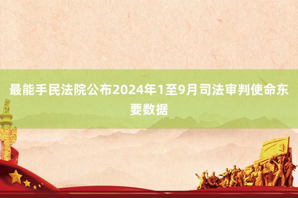 最能手民法院公布2024年1至9月司法审判使命东要数据